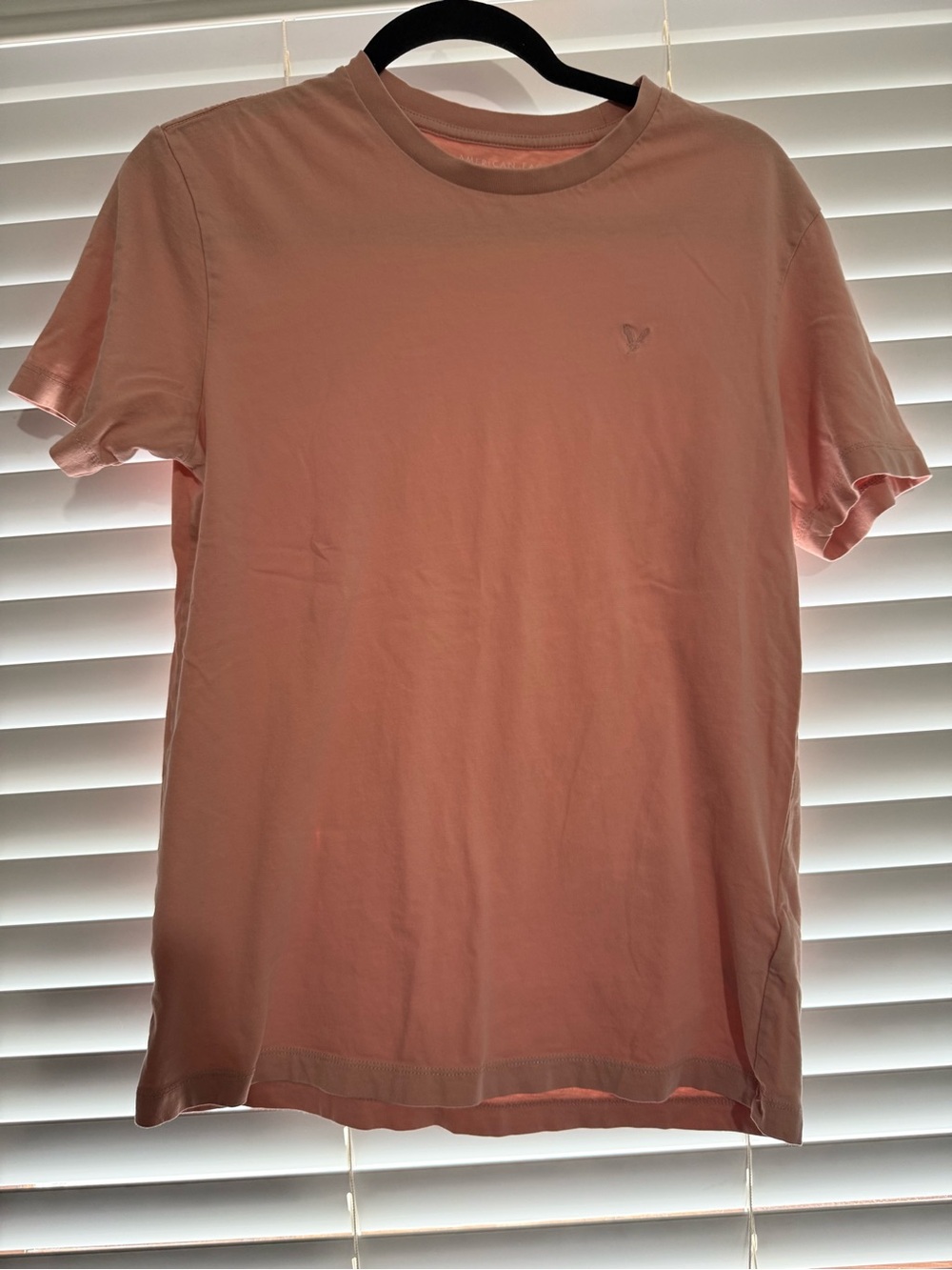 American Eagle Outfitters Men's Crew Neck Tee in Light Pink